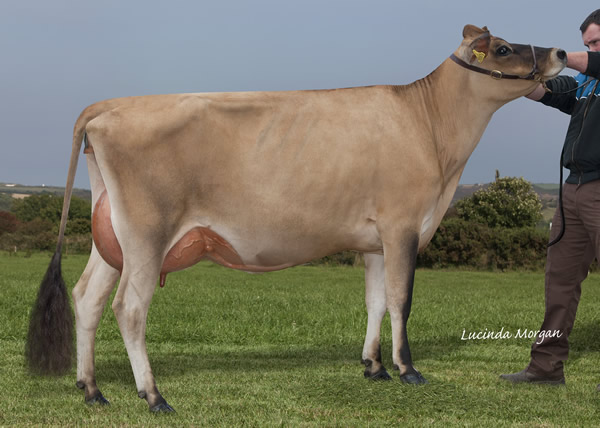 Quintrell Reagans Scarlett